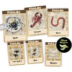 4M Creepy Crawly rakšanas komplekts, 00-03397