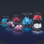 4M Crystal Growing Kristālu audzēšanas komplekts, 00-03915