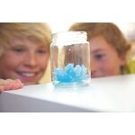 4M Crystal Growing Kristālu audzēšanas komplekts, 00-03915