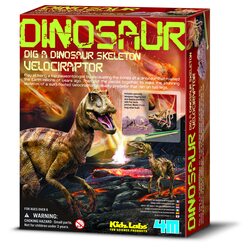 4M Kidz Labs Velosireptora Skelets, 00-13234