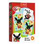 TREFL BING Kāršu spēle, 08509T