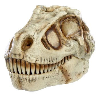 GROSSMOS Interaktīvs komplekts Dino, 121046