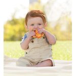 INFANTINO Atvēsinošana smaganu rotaļlieta, Dārza iemītnieki, 2gb, 216276