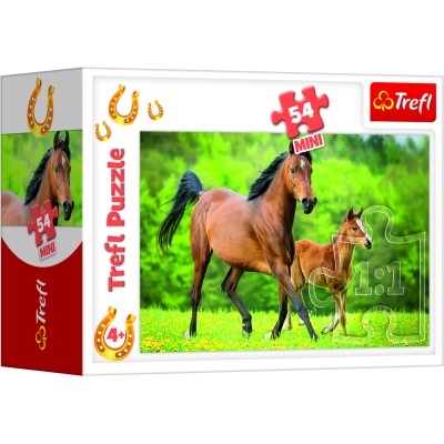 TREFL Puzle 54 Zirgi, 54193T