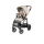 Pastaigu ratiņi