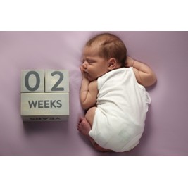 Pearhead Milestone Blocks Деревянные кубики Grey 60110