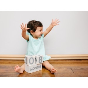 Pearhead Milestone Blocks Деревянные кубики Grey 60110