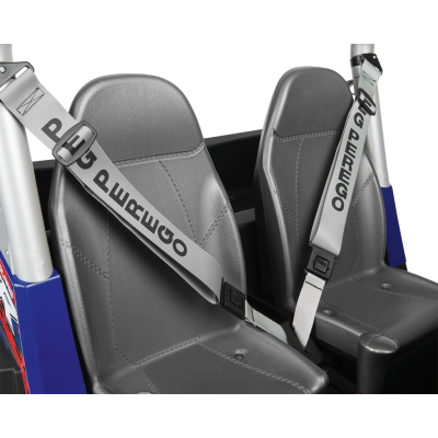 Peg Perego Polaris RZR 900 XP 24V Детский электромобиль IGOD0554
