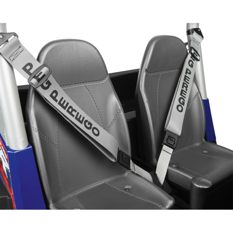 Peg Perego Polaris RZR 900 XP 24V Детский электромобиль IGOD0554