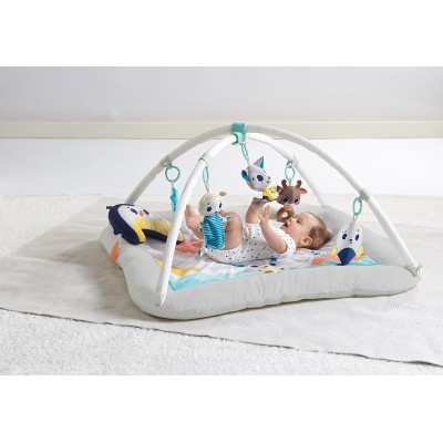 Tiny Love Polar Wonders Plush Gymini Развивающий коврик TL1205406830R