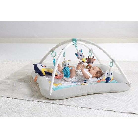 Tiny Love Polar Wonders Plush Gymini Развивающий коврик TL1205406830R