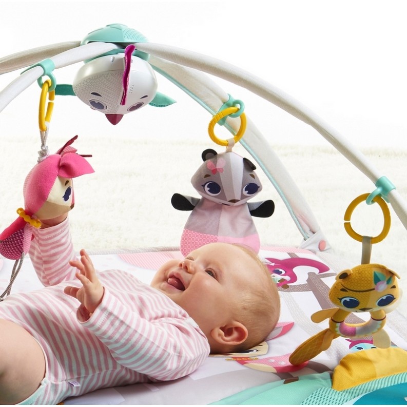 Tiny Love Tiny Princess Tales Gymini Deluxe Развивающий коврик TL1205506830R