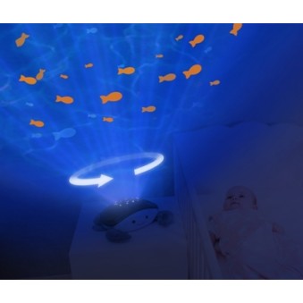 ZaZu Cody The Crab Projektors Ocean 