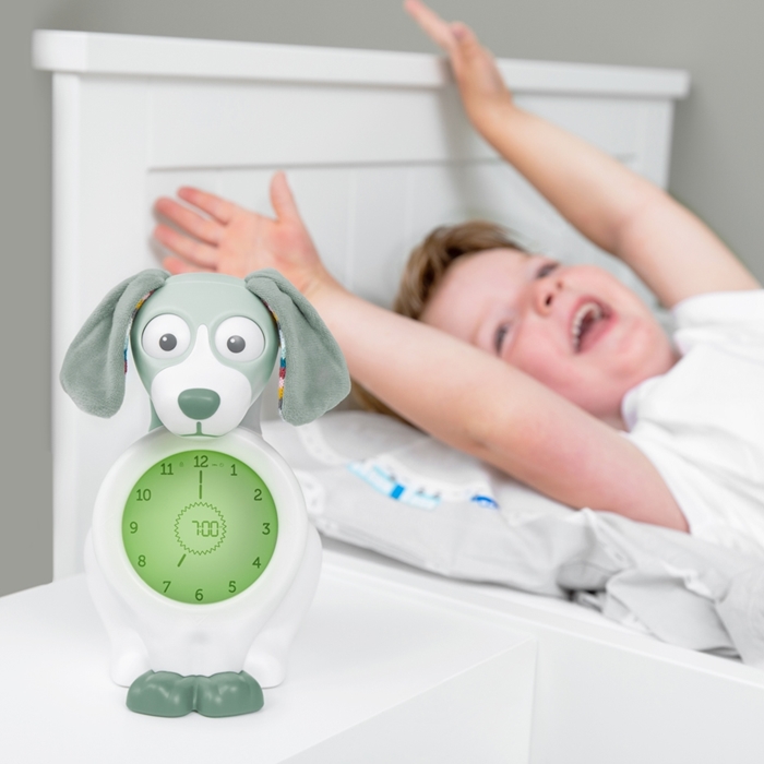 ZaZu Davy Miega treneris Dog Green